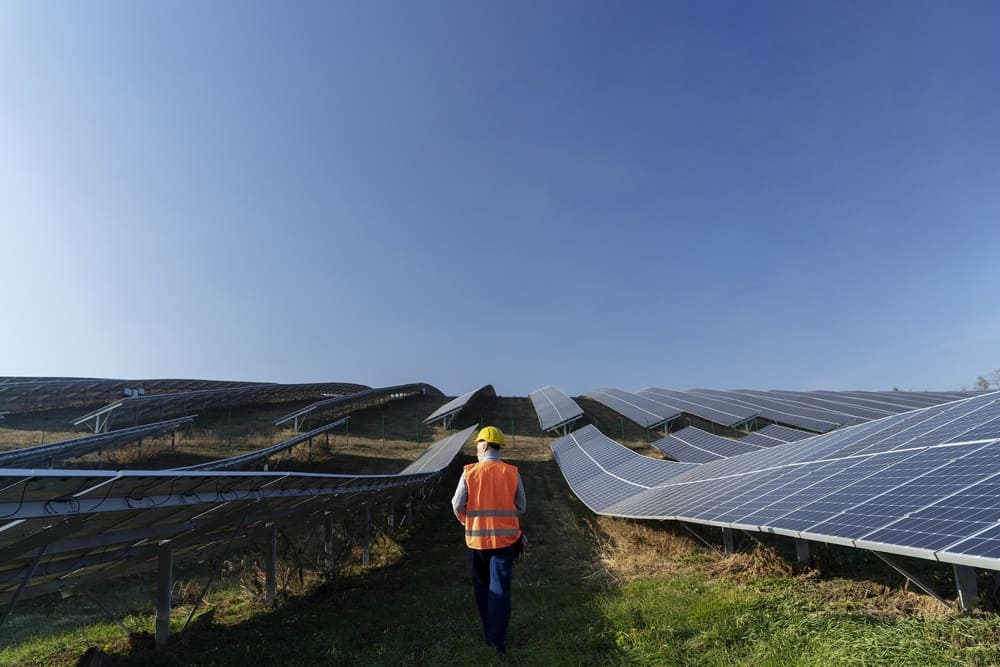 mantenimiento y limpieza de instalación solar fotovoltaica huerto solar en Valencia